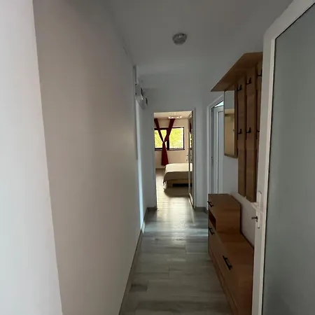 Omega Style Constanta